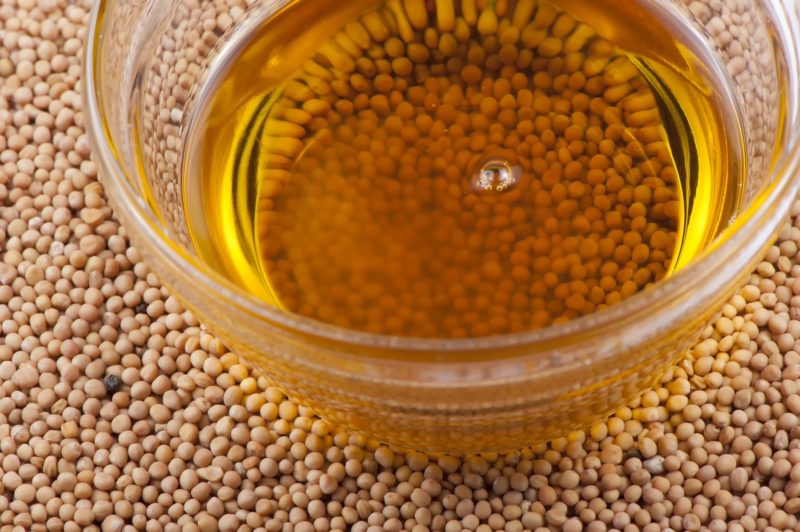 Сельскохозяйственные продукты - Корма и добавки - Состав жирных кислот масличных семян