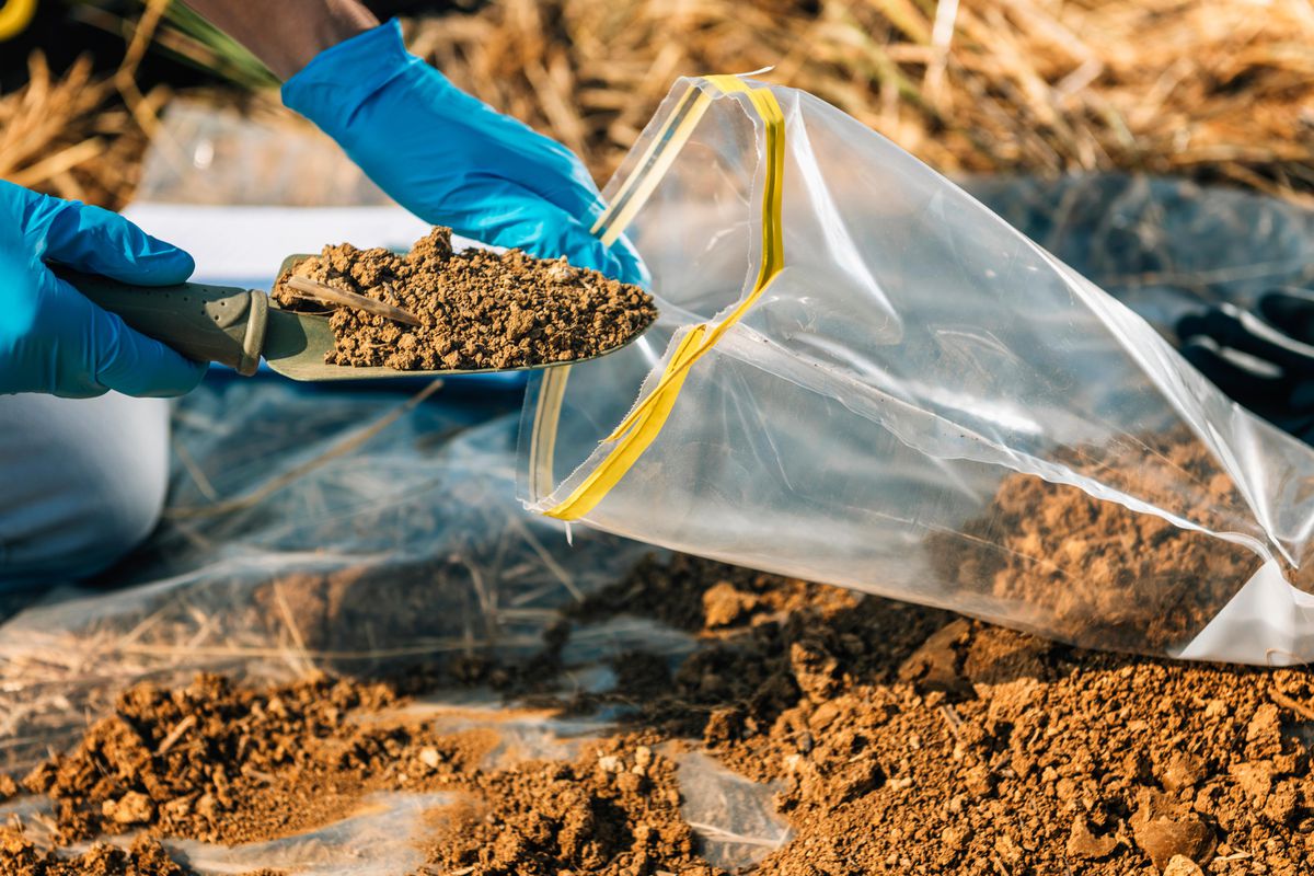 Почва, вода и управление данными - отбор проб почвы и отложений