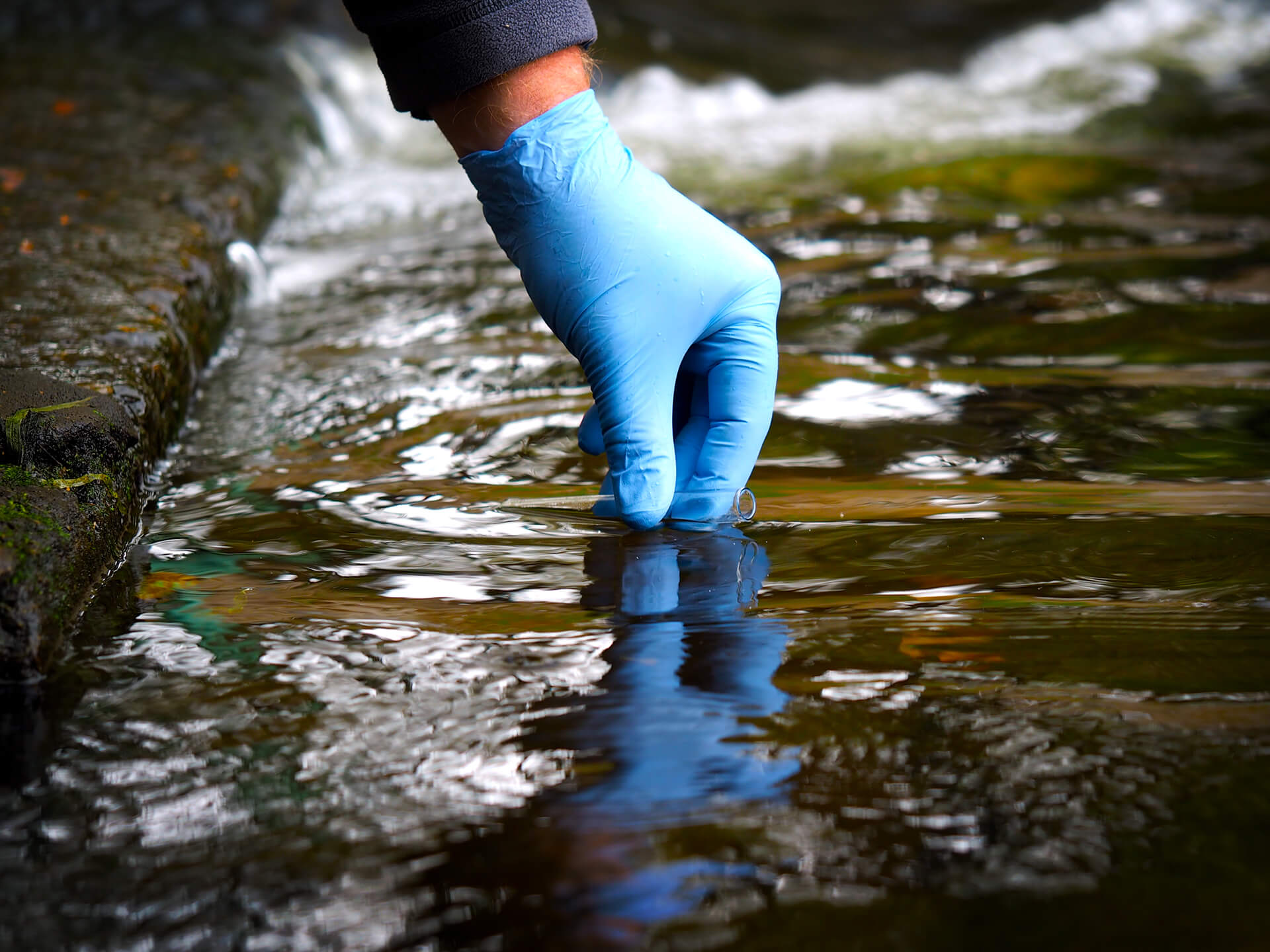 Yüzey Suyu Araştırmaları - Mikrobiyoloji, Bakteriyoloji ve Ekotoksikoloji Araştırmaları