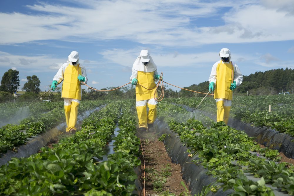 Agrochemicals - Herbicides - Field Inspection Services